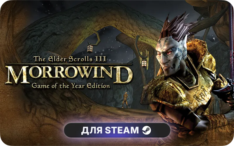 The Elder Scrolls III: Morrowind® GOTY | ASIA