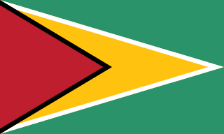 Guyana eSIM (Data + Voice + SMS)