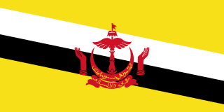 Brunei eSIM (Data Only)